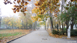 Северный вход в Комсомольский парк