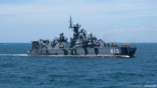 615 РКВП Бора