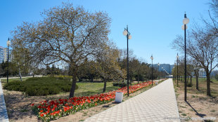 Аллея между фонтаном Победы и главной площадью парка