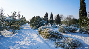 Парк Победы в снегу