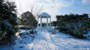 Парк Победы в снегу