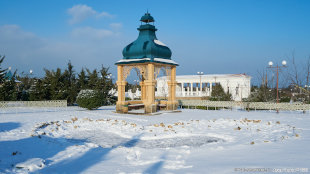 Украинский сад в снегу