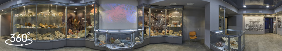 Севастопольский Аквариум-музей, Зал №1 - древние обитатели тропических морей