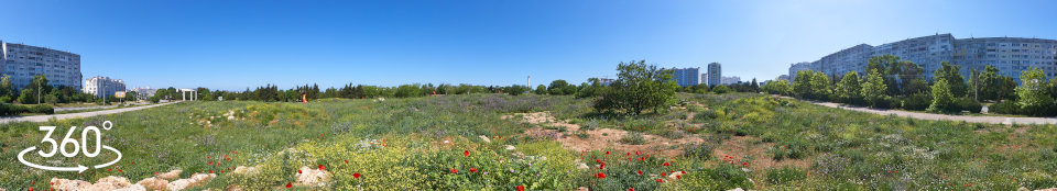 Пустырь с весенними цветами в парке Победы - 3д панорама 360 градусов