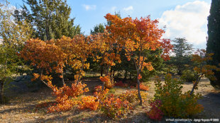 Осень в парке Победы