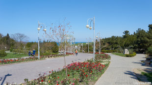 Центральная аллея парка Ахматовой