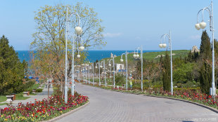 Центральная аллея парка Ахматовой