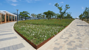 Клумбы с цветами в центральной части парка