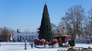 Новогодняя ёлка в Севастополе в снегу